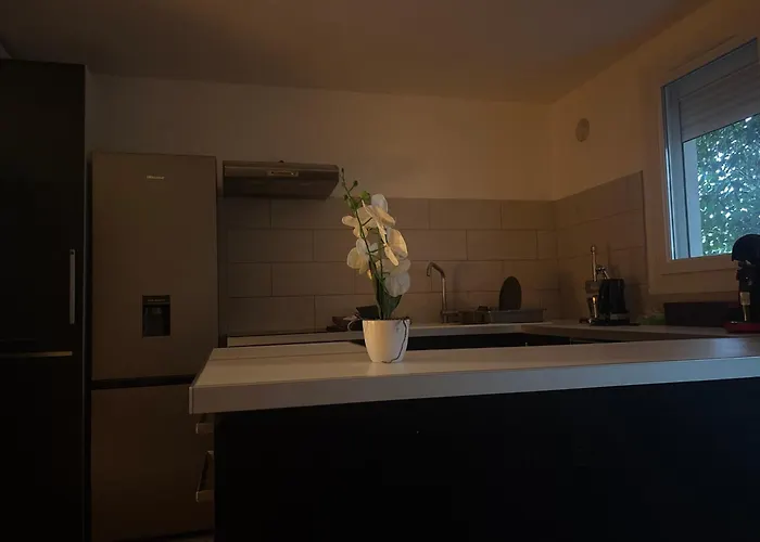 Le Cocon Nimois ニーム